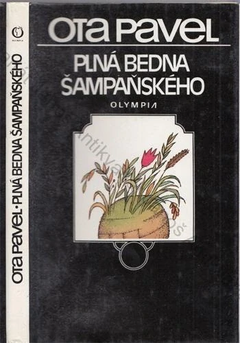 Pavel - Plná bedna šampaňského
