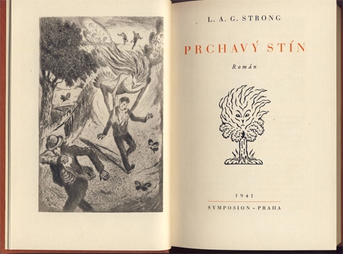 Strong - Prchavý stín