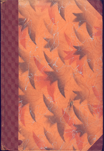 Vzkříšení: Noviny sokolské mládeže (22. ročník)