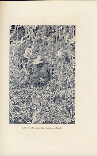 Sibille - Statečný Jan (Janův sen)