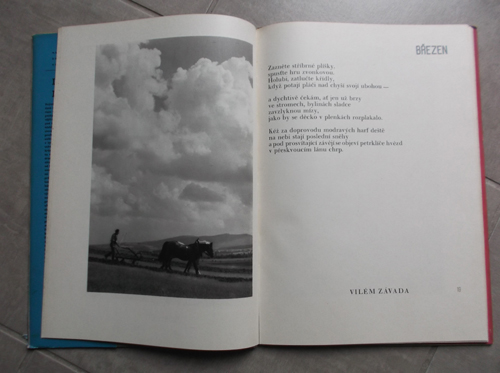 Majerová - Dvanáct měsíčků