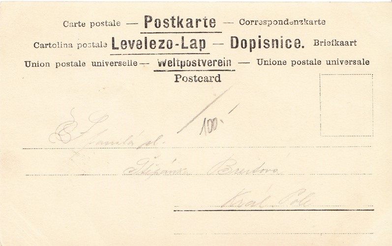 Dívka v růžových šatech