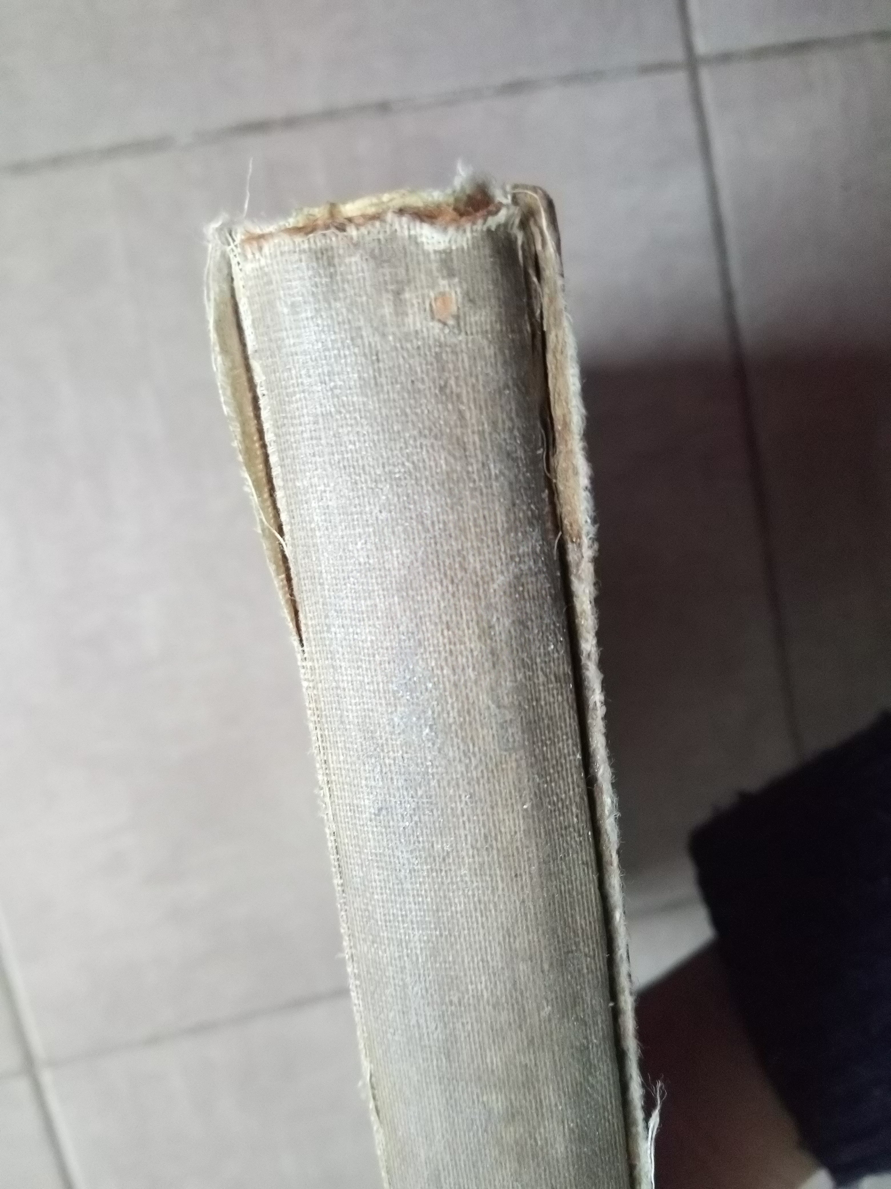 Kunst und leben im altertum