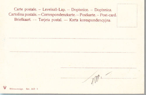 Dopisnice - Strom u řeky