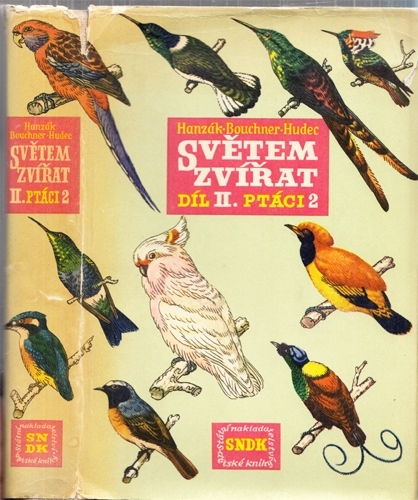 Světem zvířat 2. díl: Ptáci