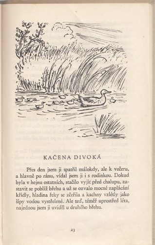 Šajner - Obrázky z přírody