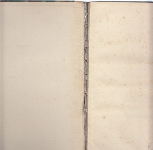 Praktischer leitfaden für kakteen und sukkulenten