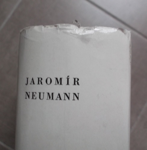 Neumann - Český barok