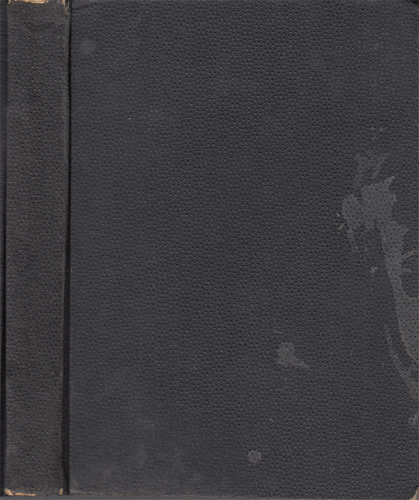 Demel - Tygří muž