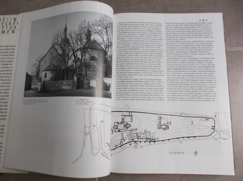 Dějiny českého výtvarného umění (I/1, I/2): Od počátků do konce středověku