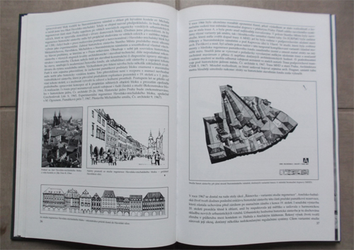 Historická architektura (Věda, výzkum, praxe) - Sborník k poctě Milana Pavlíka