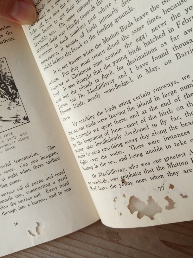 Embury - Great Barrier Reef