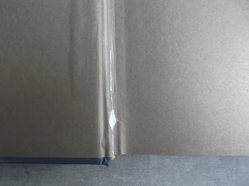 Andersonová - Paláce