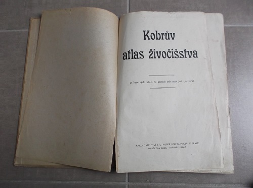 Kobrův atlas živočišstva