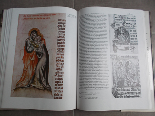 Dějiny českého výtvarného umění (I/1, I/2): Od počátků do konce středověku