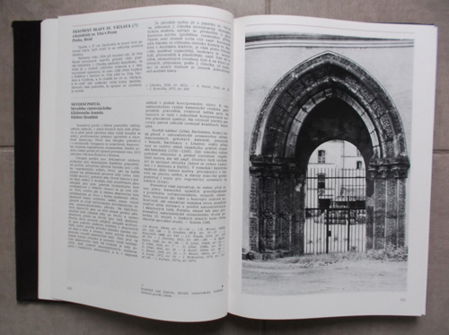 Dvorský - Umění doby posledních Přemyslovců