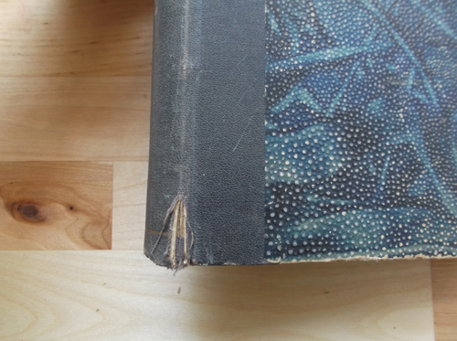 Klement - Z ovzduší haremů a pouští