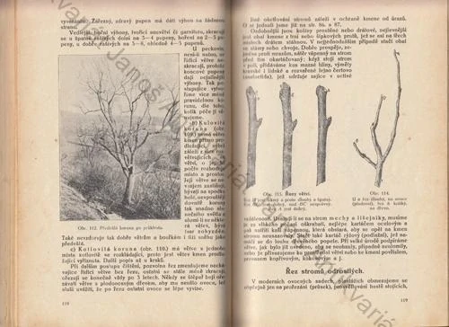 Večeř - Výnosné ovocnictví