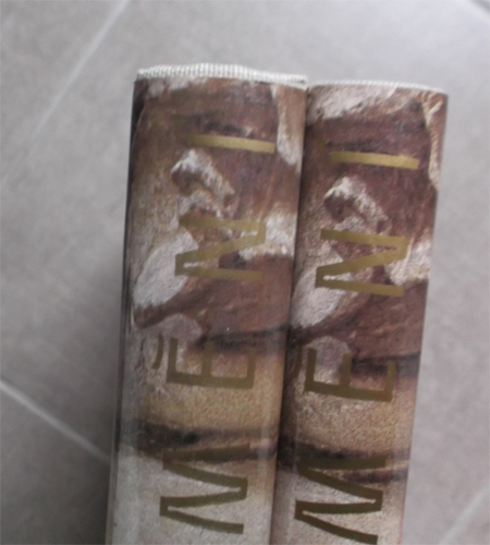 Dějiny českého výtvarného umění (I/1, I/2): Od počátků do konce středověku