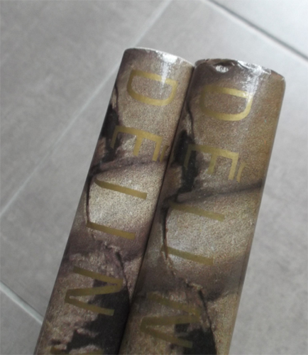 Dějiny českého výtvarného umění (I/1, I/2): Od počátků do konce středověku