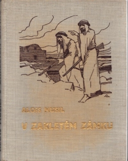 Musil - V zakletém zámku
