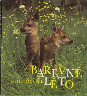 Holeček - Barevné léto