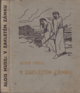 Musil - V zakletém zámku
