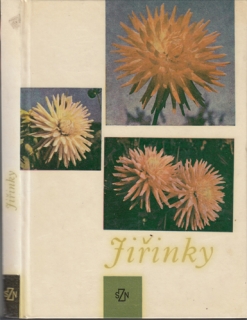 Vaněk - Jiřinky