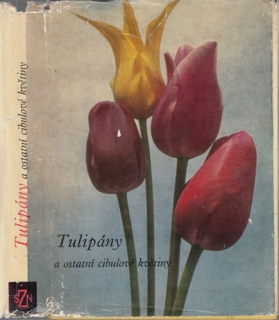 Vaněk - Tulipány a ostatní cibulové květiny