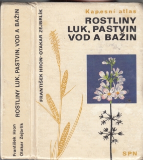 Hron, Zejbrlík - Rostliny luk, pastvin vod a bažin