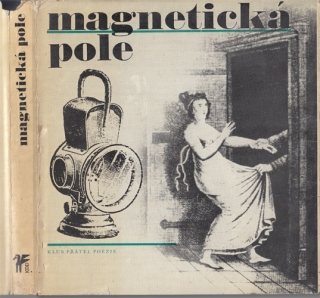 Magnetická pole