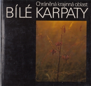 Jongepierová, Trachtulec, Kuča - Chráněná krajinná oblast Bílé Karpaty