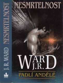 Ward - Padlí andělé (6.): Nesmrtelnost