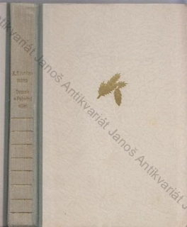 Klostermann - Domek v Polední ulici