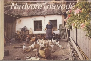 Kontár - Na dvoře i na vodě